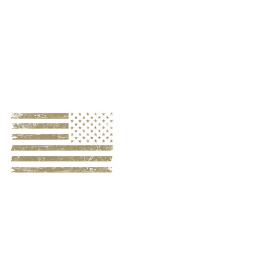 250th America Flag- Sleeve Thumbnail
