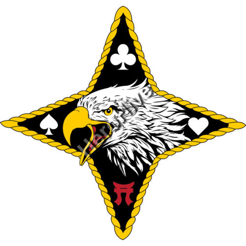 541st TC- Eagle  Thumbnail